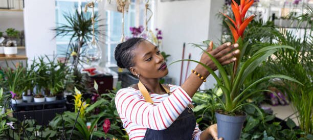 Female florist and a flower shop owner of Black ethnicity, taking care of plants at the shop